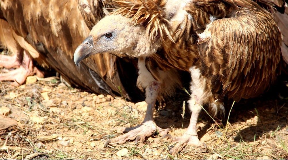 |Ŀ@ģƫ@شǷCFlΣҰﰸ