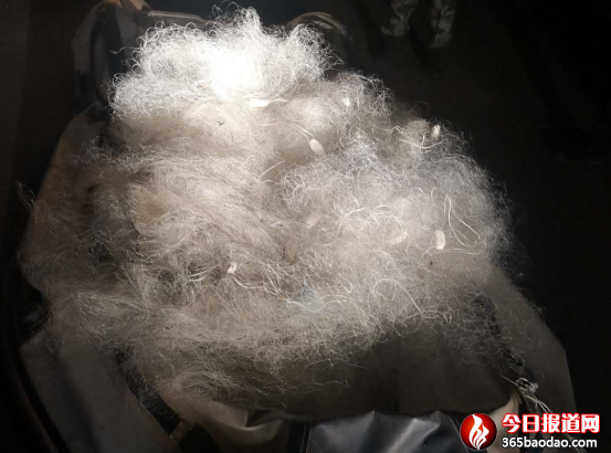 黑龍江賓縣:倆男子趁夜色偷捕魚 沒等下網就進了公安局31.png