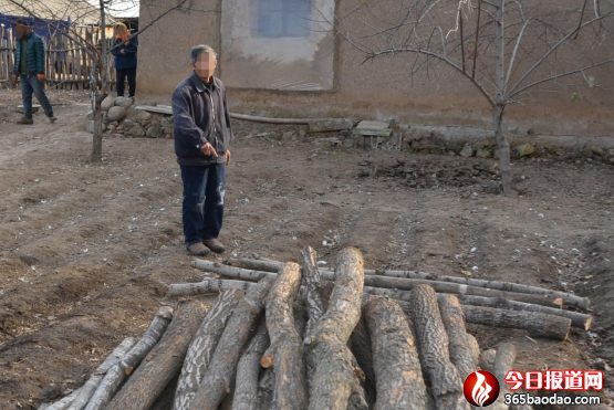 非法采伐國家重點保護林木 賓縣一年逾七旬老漢被采取刑事強制措施(2)(7)(1)427.png