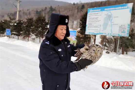  ʡօ^񾯳ɹһֻ܂؈^