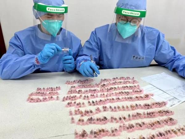 顰ߡĿУϺP@300ֻҰUի@ρ