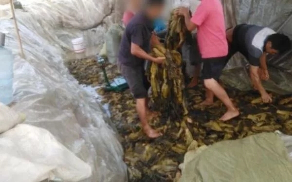 ωIͣ B˘IˆTИIǜ֮