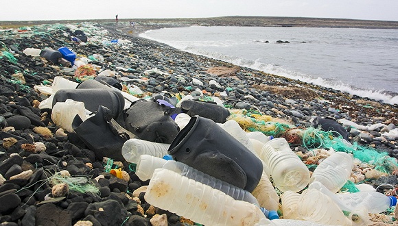 ¡̏Uʩһ ИI̽̏U̼̎·