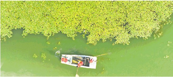 2024ɽ|ʡB(ti)h(hun)r󡷰l(f) B(ti)h(hun)sָ(bio)ȫ泬~