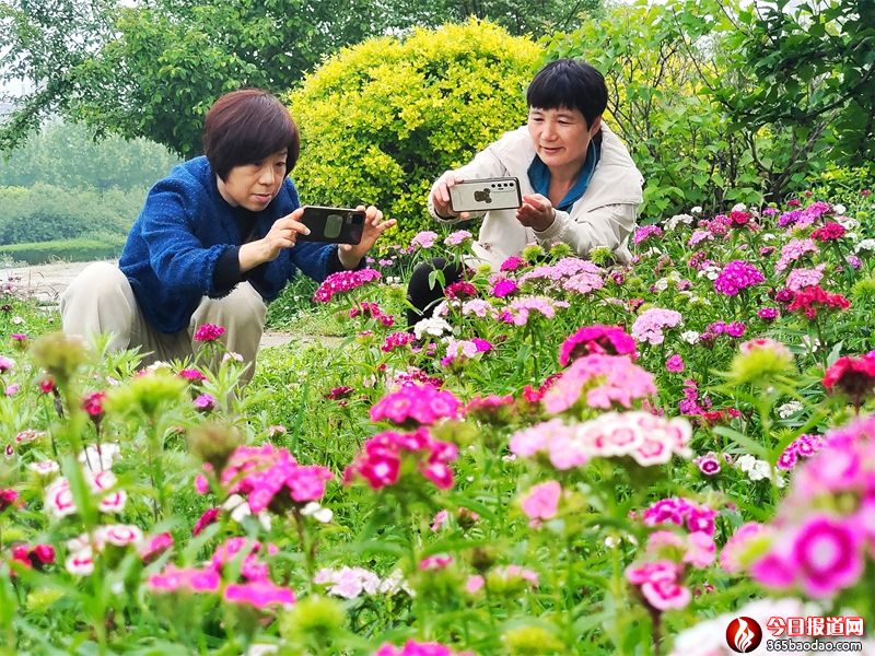 l(xing)廨M@ Ҋ(jin)