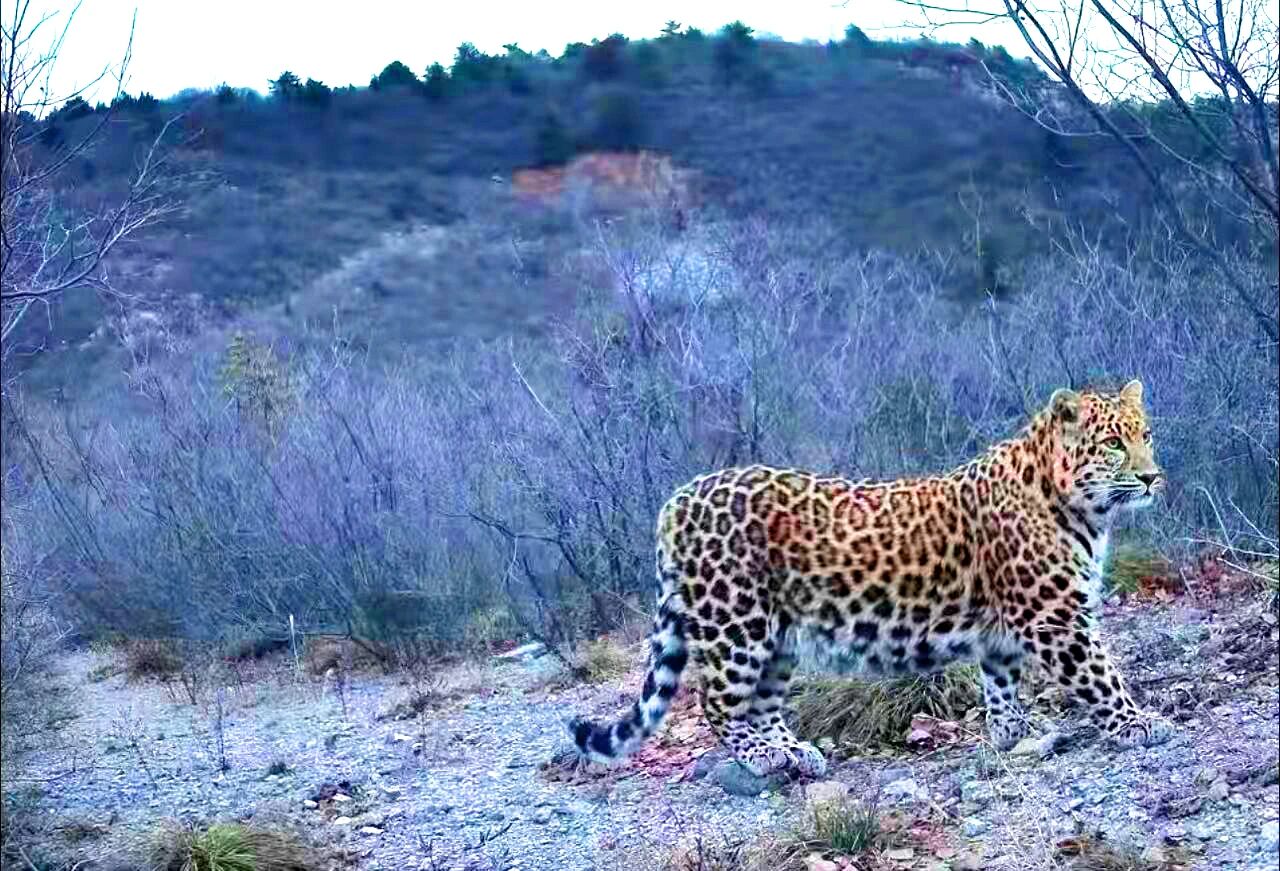 �A�����׬F�����ϲ��ۿh�״������ĵ��A����Ӱ��