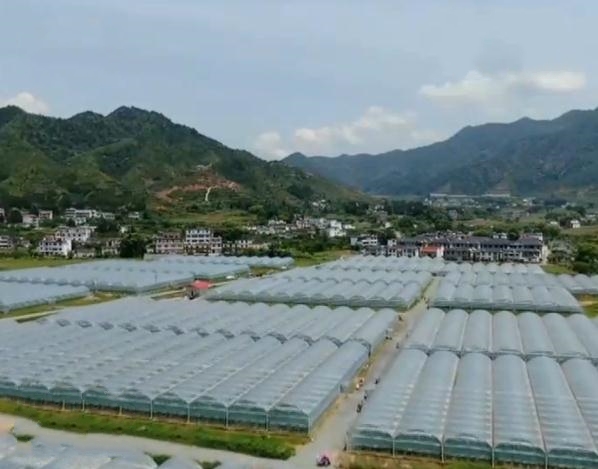 QQÓؚԡӋ14ʡ^ؚhȫÓؚժñ