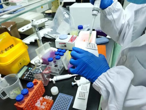 ۼt҇15犜y¹ڲgMyԇ⏊Pע