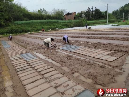  ʡϿhr񌣘I珊ϓץ絾aæ