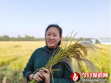 千年聞韶臺 曲堤聞韶香——2020年曲堤聞韶香黃河大米合作社基地采風側記1089_副本.jpg