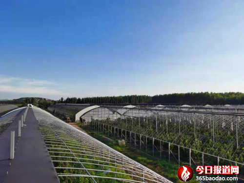 山科學子三下鄉:深入實地 凝聚青春聚焦鄉村振興,共筑華夏之夢840.png