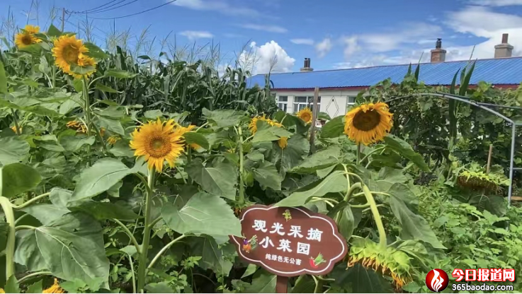 tl̫ƽa - ͼ1868.png