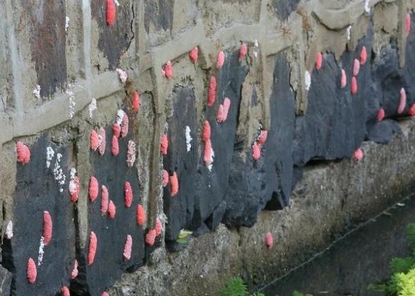 㽭ѳF@N|ǧfe`ʳһֻ6000lx