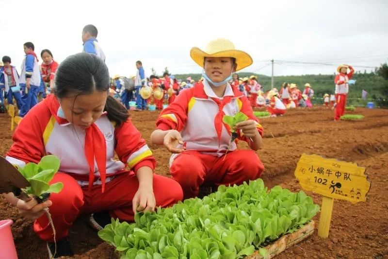 ڄӽУ@W(xu)(dng)У@ݎ