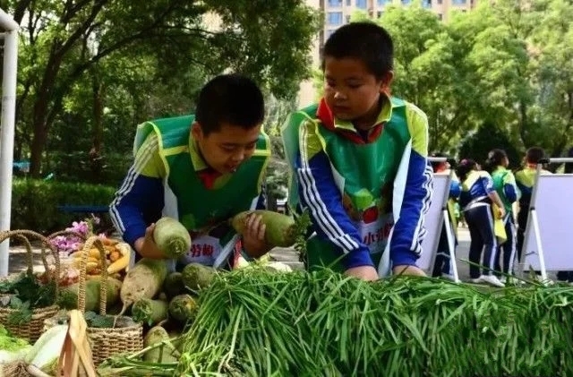 9ÿ(g)СW(xu)ҪW(xu)늡NB(yng)ݡ