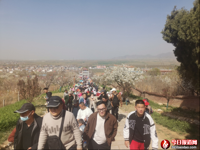  滨wѩ  ÿ͌   ڶʮɽ|滨ʢ_Ļ