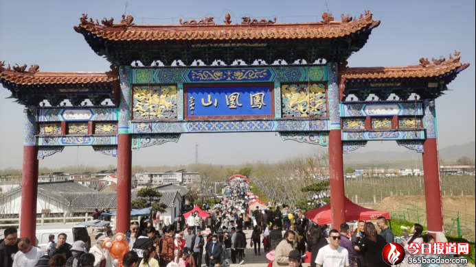 梨花飛雪 好客寧陽0330103.png