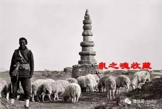 ϶]Ҋ^@ӵĝϣ - ˴W - 3ed74d8292114262be258e0aeeeb3f9a_th.webp.jpg