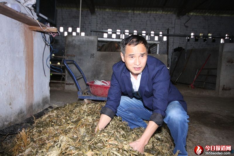 廣西恭城這位軍轉(zhuǎn)干部第一書記實干巧干“十大脫貧錦囊”助貧困村脫貧摘帽 (6).JPG