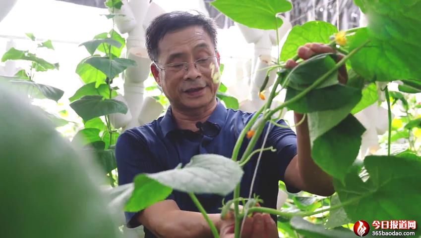 ldеĿƼɆTࣺܺ_µc