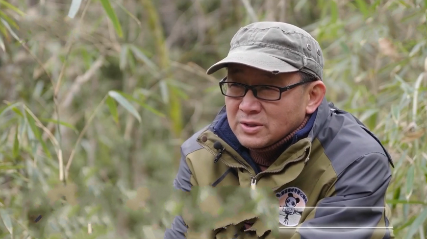 ҰǸۙܰҹLҰĔz16 ᾹӰo(h)Ȼ