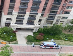 ȪǑ  Сx“”(Ԋ(1)540.png