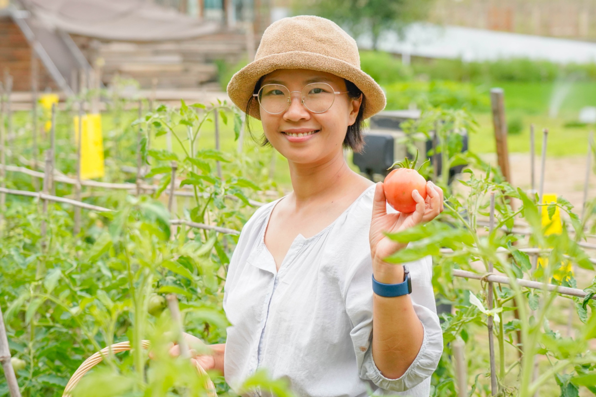 hɽĻ푣´񡱣УWԣlһ󮋲ȥ