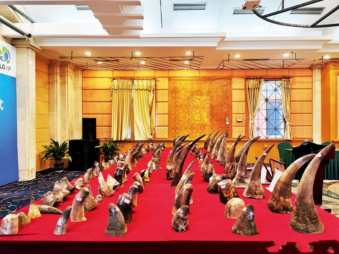 Ϭţǿ˽朗lӌ˽WjBsϽ׼Ӵ̷y