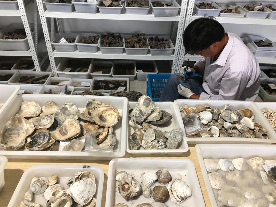 㽭ҦlFںķĻ1000ʷǰzַ