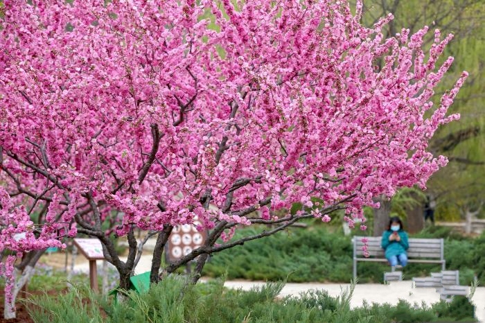 ھŌñɭĻ_Ļ ȫ_չ200Ļ