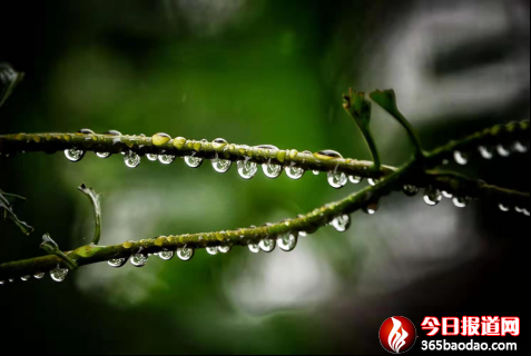 新建 Microsoft Word 97 - 2003 文檔16266.png