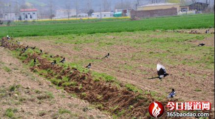 新建 Microsoft Word 97 - 2003 文檔899.png