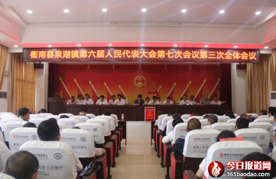 衡南縣泉湖鎮民生實事項目人大代表票決制讓代表更有參與感 群眾更有收獲感38.png