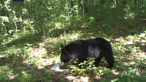 ҇״ΰlF|ԺܵFӰ߀ð⡱