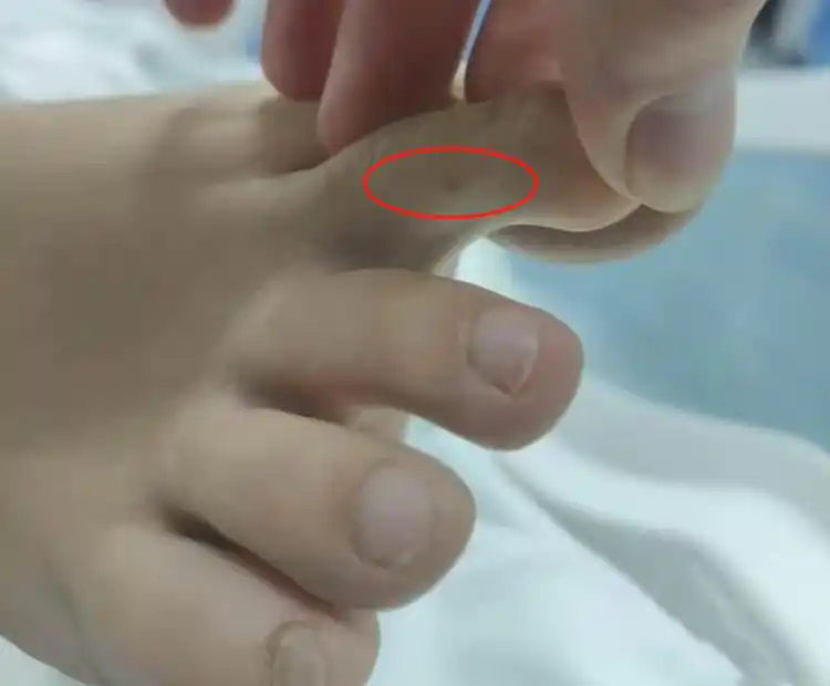 ٷ{(dio)顰27qŮɱҧ¼ Ҍ٣δ(li)п]ʬz