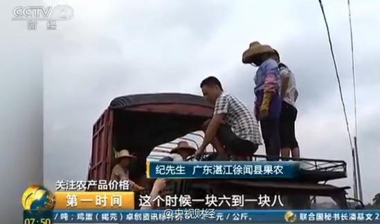 央視曝廣東菠蘿價格大跌 2毛一斤邊無人問津