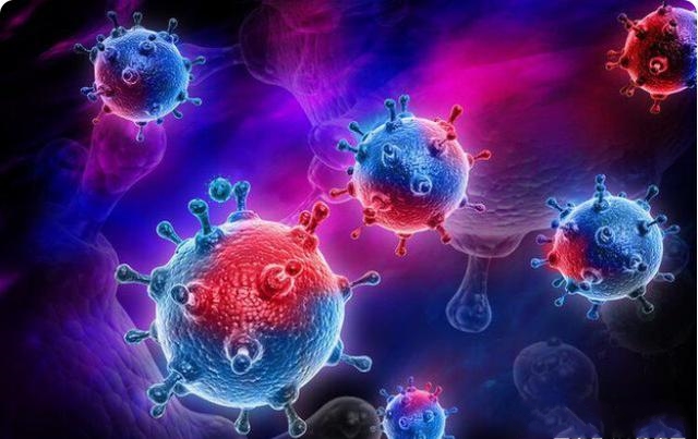  һֱ^m(x)oY(ji)׃ʲôأ