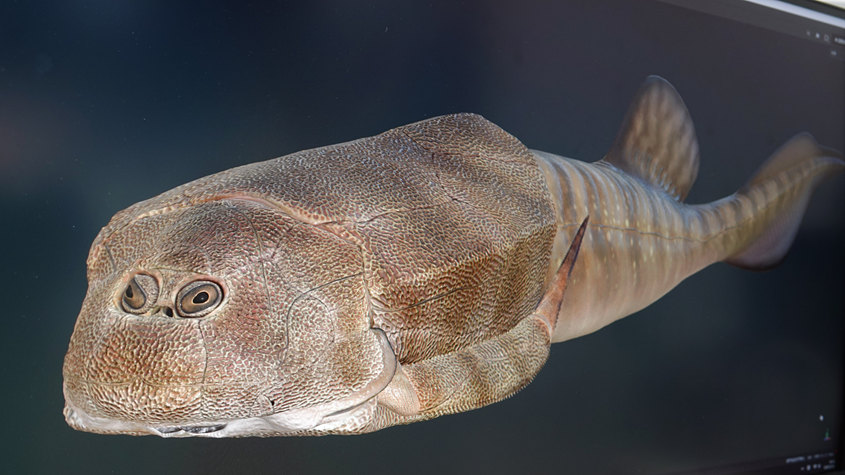 3.9|ǰ齭Դ^һ~״ΰlF c_˹̹[~ǡá